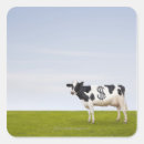Buscar holstein pegatinas Exterior