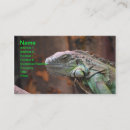 Buscar exótico tarjetas de visita Iguana