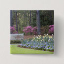 Buscar jacinto chapas Primavera
