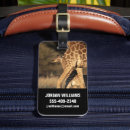 Buscar botswana accesorios Naturaleza