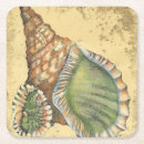 Buscar seashells cristaleria bar Océano