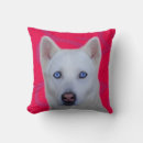 Buscar husky cojines Blanco