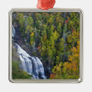 Buscar whitewater Naturaleza