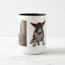 Buscar inglés bull terrier tazas Perros