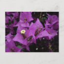 Buscar papel adaptable postales Naturaleza