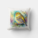 Buscar canary Pet