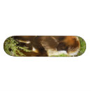 Buscar primate tablas de skate Parque zoológico