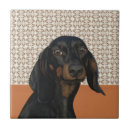 Buscar perro negro azulejos Adorable