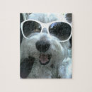 Buscar gafas de sol puzzles Cachorro
