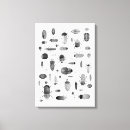 Buscar entomología arte Acuarela