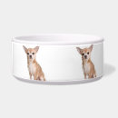 Buscar chihuahua perro accesorios Perrito