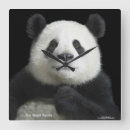Buscar oso panda gigante de relojes de pared Animal