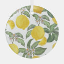 Buscar limones adornos Limón