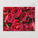 Buscar líneas rojas postales General y unisex