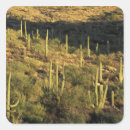 Buscar sonora pegatinas Paisaje