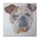 Buscar bulldog azulejos Adorable