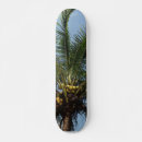 Buscar árbol comp tablas de skate Coco