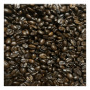 Buscar granos de café posters Frijol