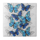 Buscar mariposa azulejos Blanco