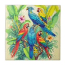 Buscar aves azulejos Loros