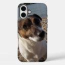 Buscar russell iphone fundas Perro