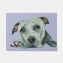 Buscar terrier americano Pitbull
