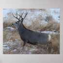 Buscar gangas posters General y unisex