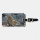 Buscar ecuador etiquetas para maletas Playa