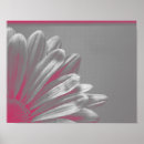 Buscar rosa y plata posters Floral