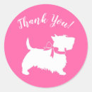 Buscar scottish terrier pegatinas Insignificante
