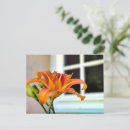 Buscar tiger postales Flor