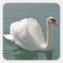 Buscar cisne manualidades Animales
