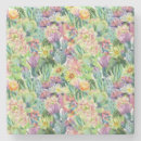 Buscar cactus posavasos Acuarela