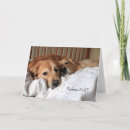 Buscar malestar tarjetas Perro