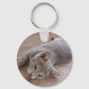 Buscar estiramiento llaveros Gatito