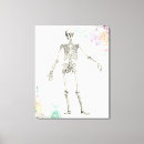 Buscar anatomía lienzos Biología