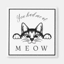 Buscar gato blanco y negro imanes Diversión