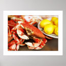 Buscar cangrejos fotografía Mariscos