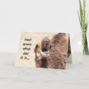 Buscar camel tarjetas 8 º tarjeta