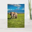 Buscar tanzania tarjetas Elefante africano