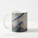 Buscar pajarita tazas Ave