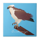 Buscar halcón azulejos Raptor