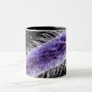 Buscar microscópico tazas Bacteria
