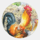 Buscar gallo manualidades 7 º morada