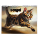 Buscar gato calendarios Animal
