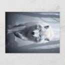 Buscar manada de lobos postales 4 º manada