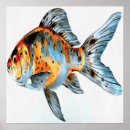 Buscar acuario posters Naranja