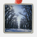 Buscar salt lake city adornos Utah