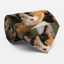 Buscar ojos verdes corbatas Gatito