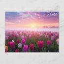 Buscar holanda Fotografía